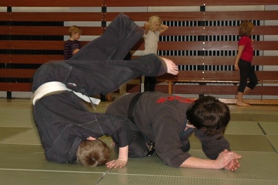 shinson-hapkido shinson-hapkido